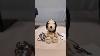 Coach Peanuts Charlie Brown Ice-skating Wallet. #16128 B. New In Snoopy Box
